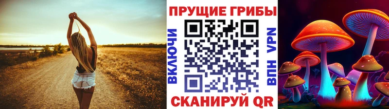 Галлюциногенные грибы Magic Shrooms  Щучье 